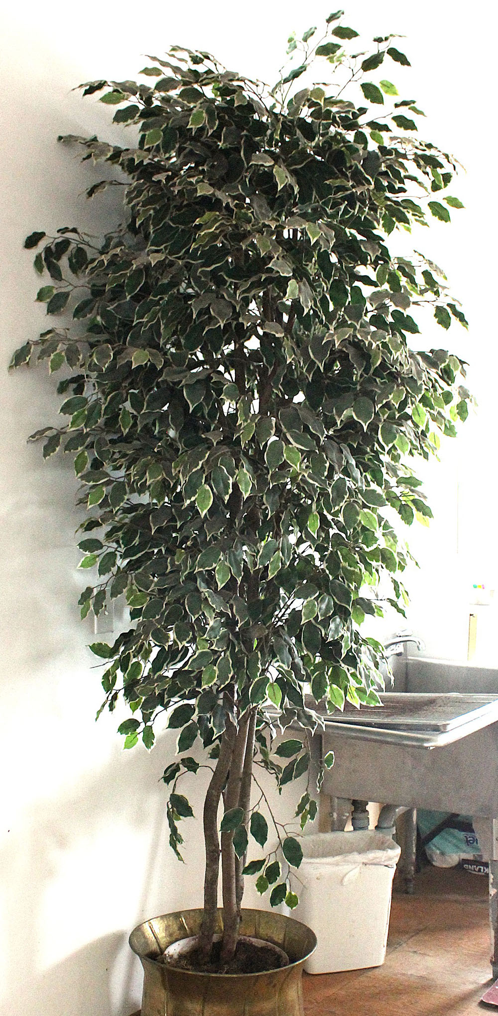 Plantes artificielles