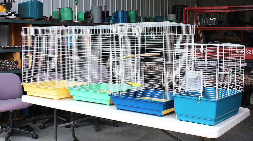 Cages grillagées pour petits oiseaux