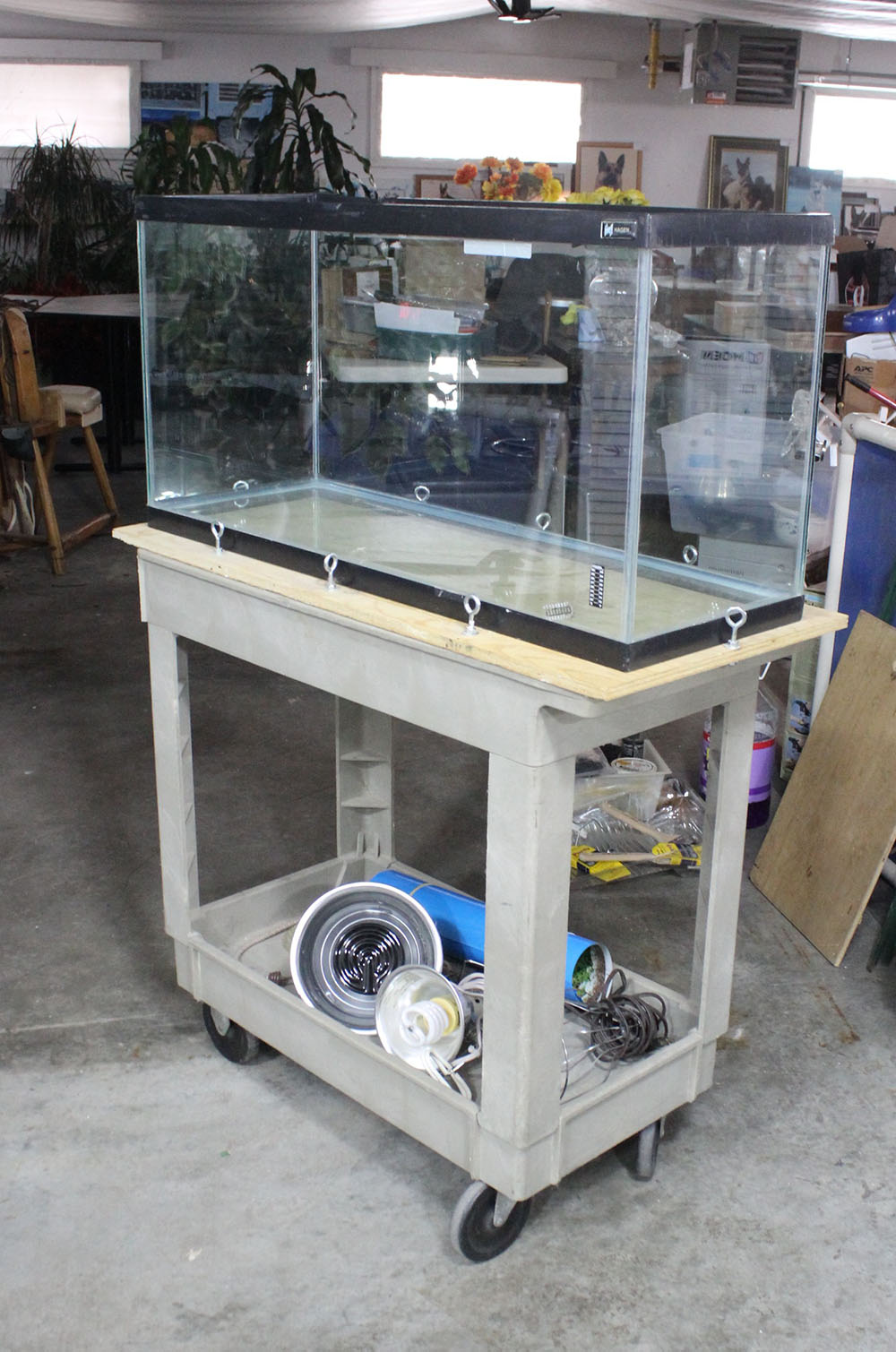 Terrarium pour reptiles